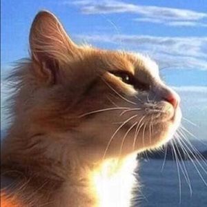 Meet your Posher, Erika